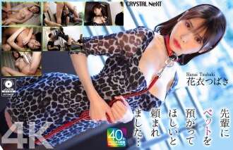 CRNX-254 [4K] Mi padre me pidió que cuidara a su mascota... Hanagoromo Tsubaki