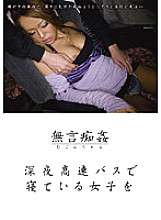 DMAT-017 การล่วงละเมิดเงียบ: ผู้หญิงคนหนึ่งนอนบนรถบัสด่วนกลางคืน